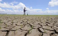Hạn hán nghiêm trọng ở Tiền Giang, Quảng Nam