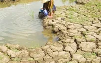 Khô hạn nghiêm trọng tại ĐBSCL