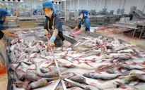 VASEP và 16 DN thống nhất khởi kiện DOC