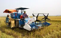 Hỗ trợ 100% lãi suất khi sản xuất nông nghiệp ứng dụng công nghệ cao
