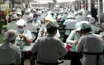 Tốt nghiệp đại học ra làm... công nhân