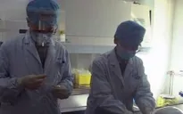 Trung Quốc: Phát hiện thêm 3 trường hợp nhiễm virus H7N9