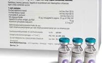 Hai phương án thay thế vaccine "5 trong 1" Quinvaxem