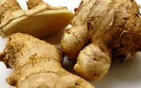 Phát hiện chất cực độc trong gừng nhập khẩu Trung Quốc