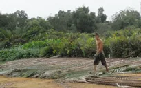 Đóng tiền 10 năm, đất vẫn nằm... trên giấy