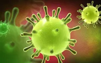 Pháp phát hiện thêm 2 ca nghi nhiễm virus corona