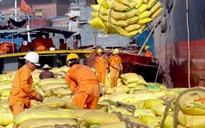 Xuất khẩu nông nghiệp gặp khó khăn