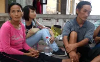 Bé 4 tuổi bị ong đốt gần 100 vết nguy kịch