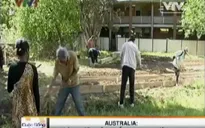 "Vườn cộng đồng” cho người tị nạn tại Australia