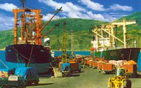Cảng Quy Nhơn lần đầu tiên đạt 6 triệu tấn hàng thông quan