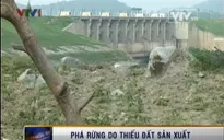 Phá rừng do thiếu đất sản xuất tại Phú Yên