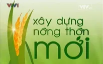 Cơ chế xóa đói giảm nghèo cho miền núi