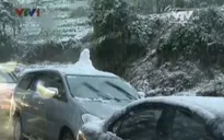 Video: Mưa tuyết rơi dày trắng xóa tại Sa Pa như ở châu Âu