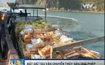 Bắt giữ tàu vận chuyển thủy sản trái phép