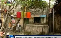 Di tích đình, chùa cổ bị xâm phạm nghiêm trọng
