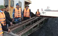 Bắt giữ tàu vận chuyển 600 tấn than cám bất hợp pháp