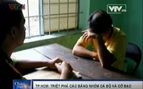 TP.HCM: Liên tiếp triệt phá các ổ "đá gà" bạc triệu