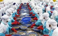 Xuất khẩu thuỷ sản tăng khá trong tháng đầu năm