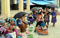 Chợ phiên Bắc Hà - nét văn hóa đặc sắc vùng cao Tây Bắc