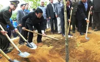 Chủ tịch nước phát động “Tết trồng cây”
