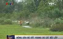 Quảng Nam: Nông dân bỏ đất hoang do cát bồi lấp