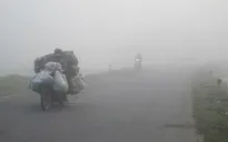 Lào Cai: Nguy cơ tai nạn giao thông vì sương mù dày đặc