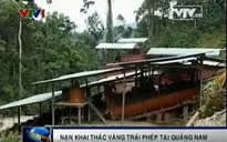 Căn nguyên nạn "vàng tặc" tại Quảng Nam?