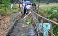 Xây dựng 450 cầu nông thôn