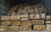 Quảng Trị: Bắt giữ xe vận chuyển 2 tấn gỗ lậu quý hiếm