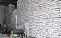 Phó Thủ tướng chỉ đạo tháo gỡ khó khăn trong tiêu thụ đường tồn kho