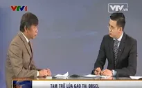 Hiệu quả của quyết định tạm trữ lúa gạo