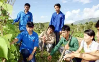 Hỗ trợ trí thức trẻ tình nguyện về nông thôn, miền núi