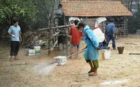 Dịch lở mồm long móng bùng phát ở Hà Tĩnh
