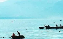 Quảng Bình bắt hai tàu cá khai thác tôm hùm trái phép