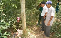 Cưa đầu đạn pháo lấy thuốc nổ, một người kinh doanh phế liệu tử vong