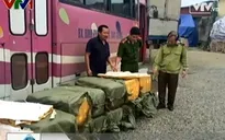 Hà Nội: Hơn một tấn nội tạng ngâm tẩm hóa chất bị bắt giữ