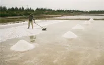 TP.HCM xin được xây kho dự trữ muối quốc gia