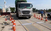 Lâm Đồng tước giấy phép hơn 330 lái xe do chở quá tải