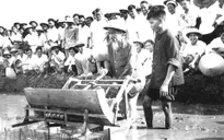 Những hình ảnh giản dị về cuộc đời Bác Hồ 