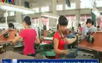 Ổn định sản xuất tại các khu công nghiệp Hải Phòng