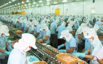 Dự báo xuất khẩu cá tra đạt khoảng 1,6 tỷ USD