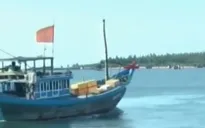 Đóng tàu vỏ sắt bám biển: Vẫn còn băn khoăn!