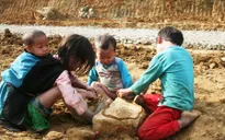 Mối nguy hiểm từ nhiễm giun