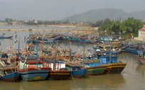 Quảng Bình: Hỗ trợ ngư dân đóng mới, cải hoán tàu thuyền vươn khơi bám biển