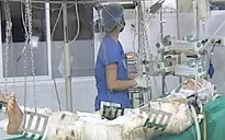 Vụ rơi máy bay Mi171: Hội chẩn liên viện cho các chiến sỹ bị thương