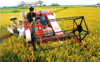Hỗ trợ 100% lãi suất vay giảm tổn thất nông nghiệp