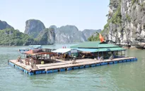 Không giao quyền quản lý Nhà nước đối với vịnh Hạ Long cho Bitexco