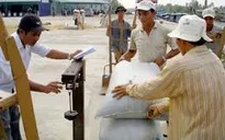 Giá gạo tăng cao nhất trong vòng 1 năm