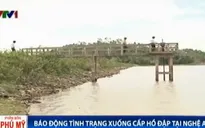 Nghệ An: Hồ đập “phập phồng” trước mùa mưa bão
