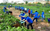 Thanh niên tình nguyện chung tay xây dựng nông thôn mới